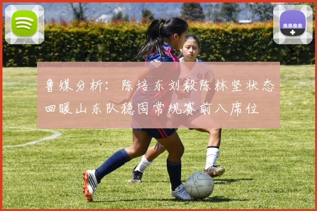 鲁媒分析：陈培东刘毅陈林坚状态回暖山东队稳固常规赛前八席位